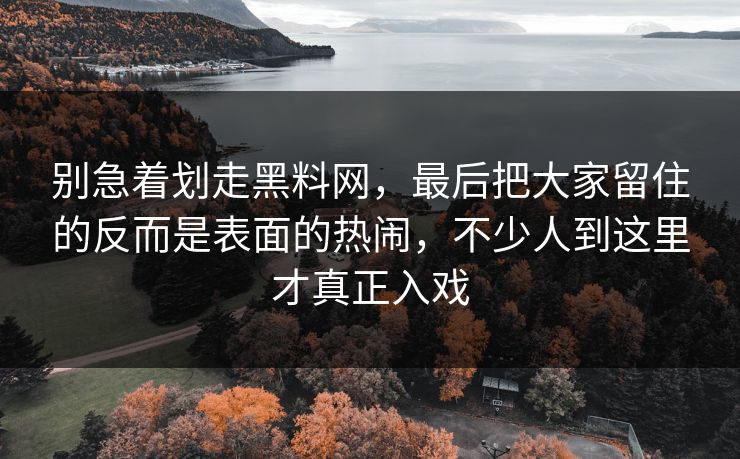 别急着划走黑料网，最后把大家留住的反而是表面的热闹，不少人到这里才真正入戏