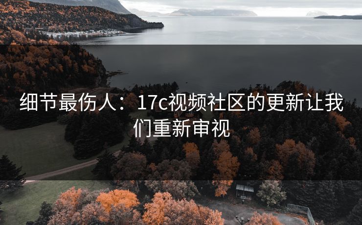 细节最伤人：17c视频社区的更新让我们重新审视