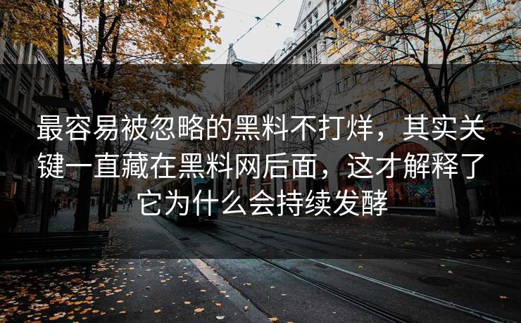 最容易被忽略的黑料不打烊，其实关键一直藏在黑料网后面，这才解释了它为什么会持续发酵