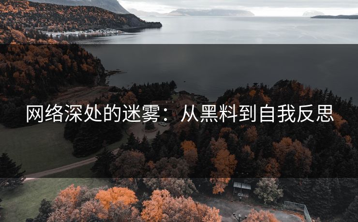 网络深处的迷雾：从黑料到自我反思