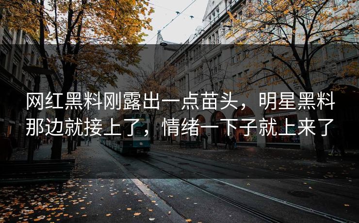 网红黑料刚露出一点苗头，明星黑料那边就接上了，情绪一下子就上来了