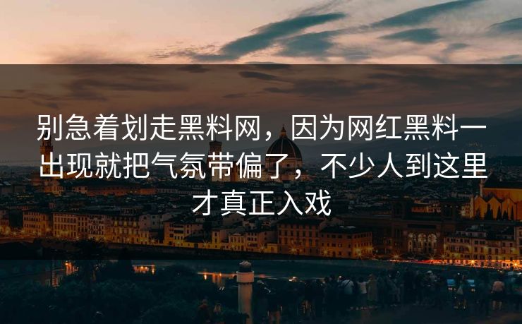别急着划走黑料网，因为网红黑料一出现就把气氛带偏了，不少人到这里才真正入戏