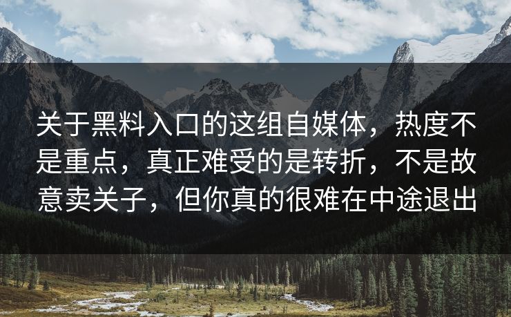 关于黑料入口的这组自媒体，热度不是重点，真正难受的是转折，不是故意卖关子，但你真的很难在中途退出