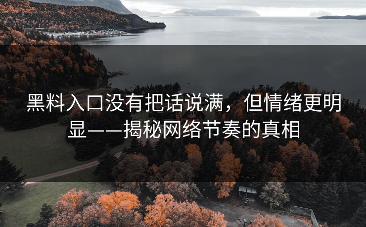 黑料入口没有把话说满，但情绪更明显——揭秘网络节奏的真相