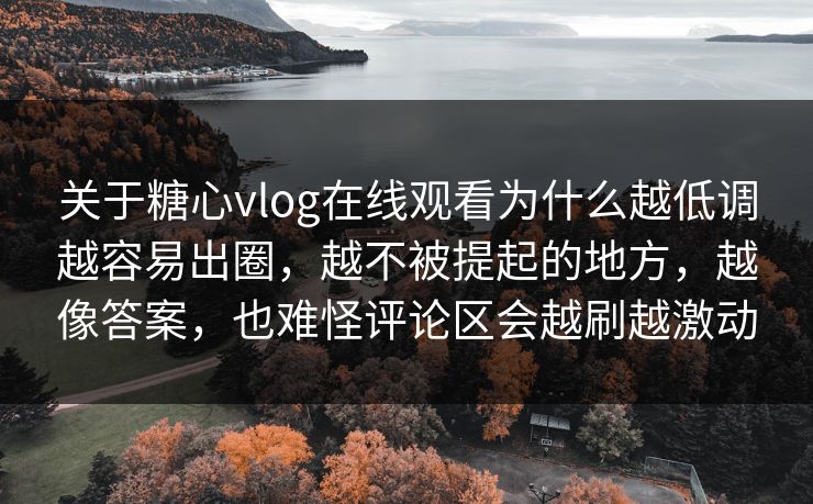 关于糖心vlog在线观看为什么越低调越容易出圈，越不被提起的地方，越像答案，也难怪评论区会越刷越激动