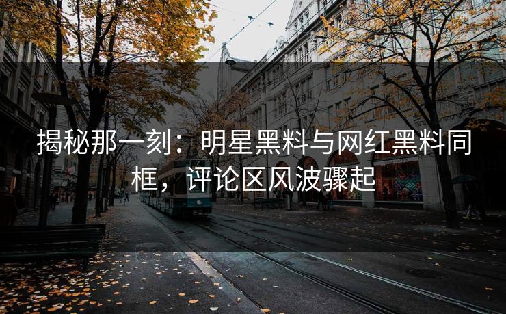 揭秘那一刻：明星黑料与网红黑料同框，评论区风波骤起