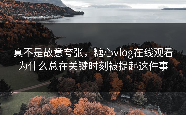 真不是故意夸张，糖心vlog在线观看为什么总在关键时刻被提起这件事