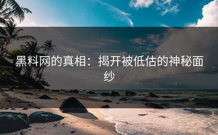 黑料网的真相：揭开被低估的神秘面纱
