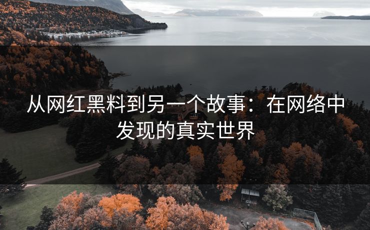 从网红黑料到另一个故事：在网络中发现的真实世界