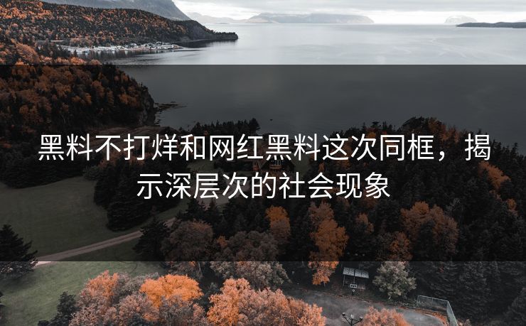 黑料不打烊和网红黑料这次同框，揭示深层次的社会现象