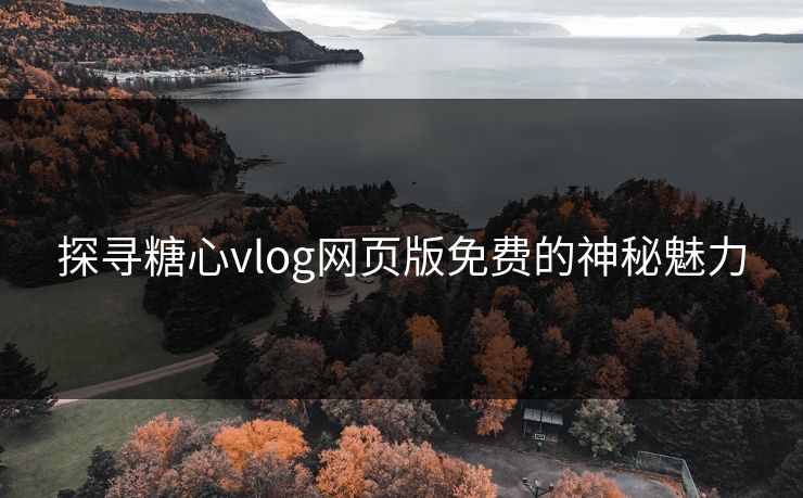 探寻糖心vlog网页版免费的神秘魅力