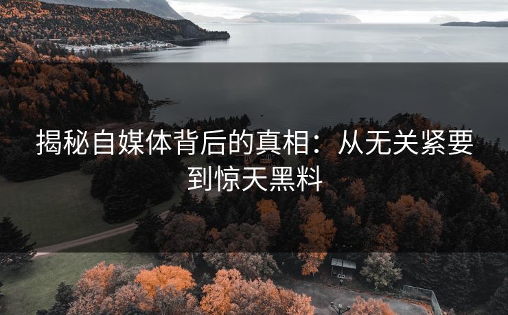 揭秘自媒体背后的真相：从无关紧要到惊天黑料