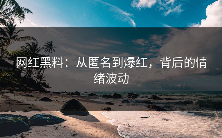 网红黑料:从匿名到爆红,背后的情绪波动